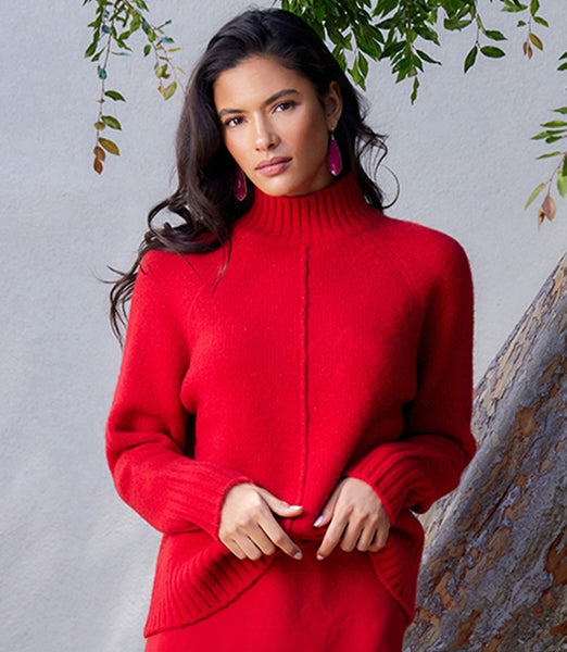 Karen kane outlet turtleneck