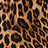 Leopard Swatch