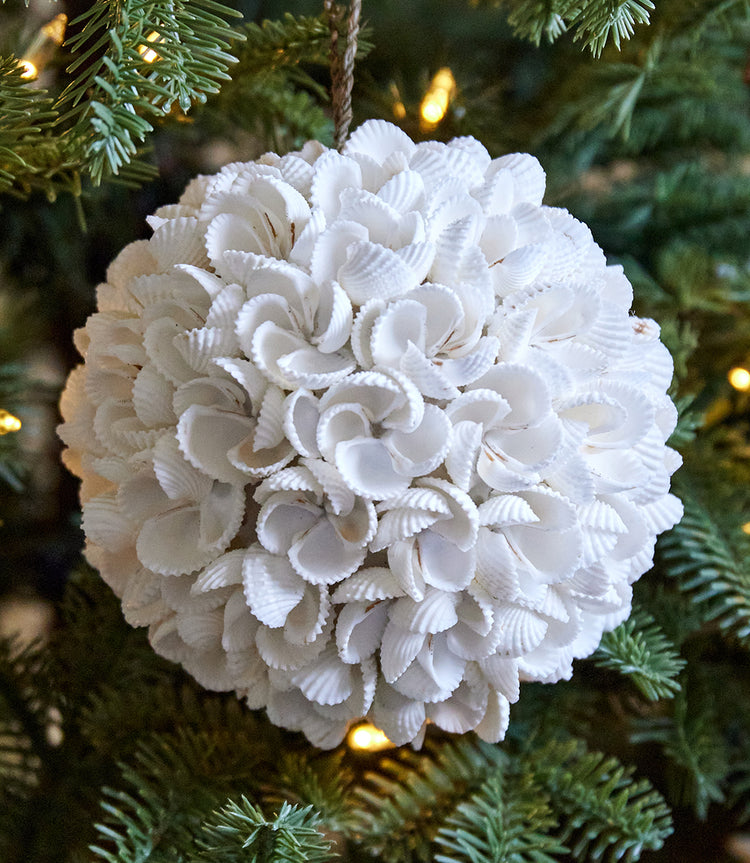 Large Fiji Seashell Ornament