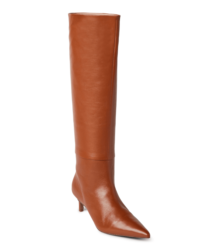 Tall Pointed Toe Boots