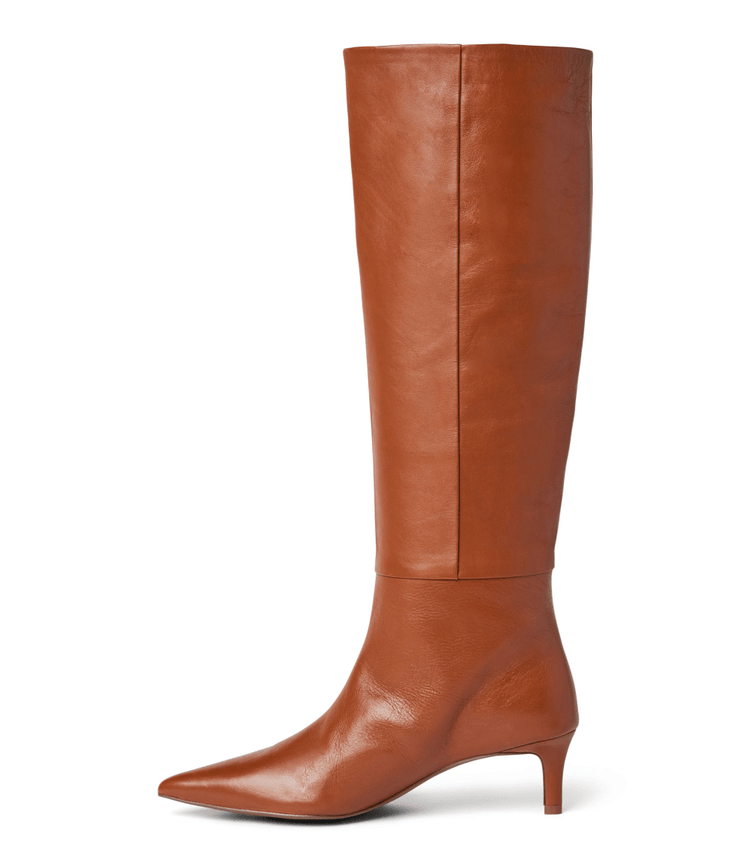 Tall Pointed Toe Boots