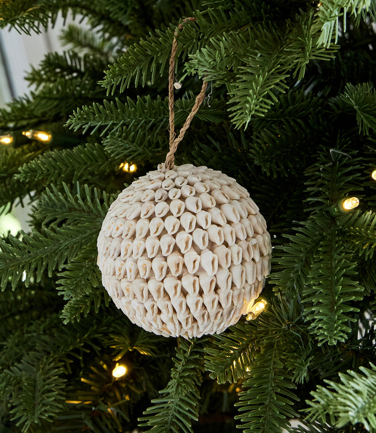 Aruba Seashell Ornament